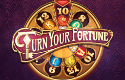 Turn Your Fortune